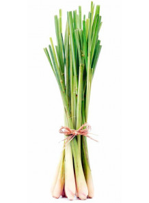Lemongrass Flavor