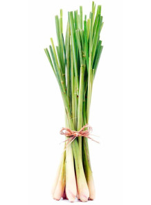  Lemongrass Flavor (Water-Soluble)