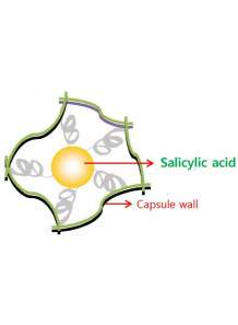  Complex Salicylic Acid (Powder, Water-Soluble)