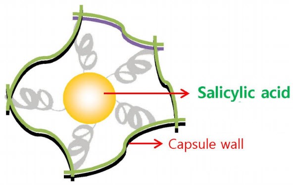 Complex Salicylic Acid (Powder, Water-Soluble)
