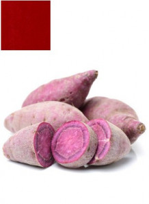 Purple Sweet Potato Pigment สีแดง จากมันฝรั่ง (ผง)