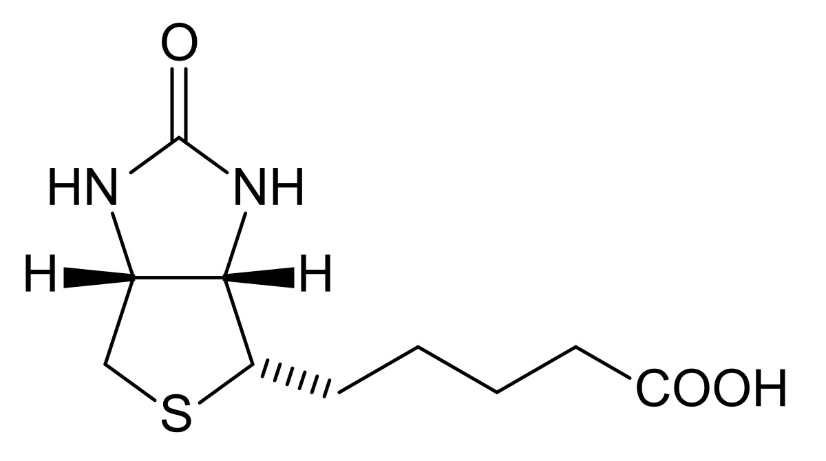 Pure-Biotin™ ไบโอติน บริสุทธิ์