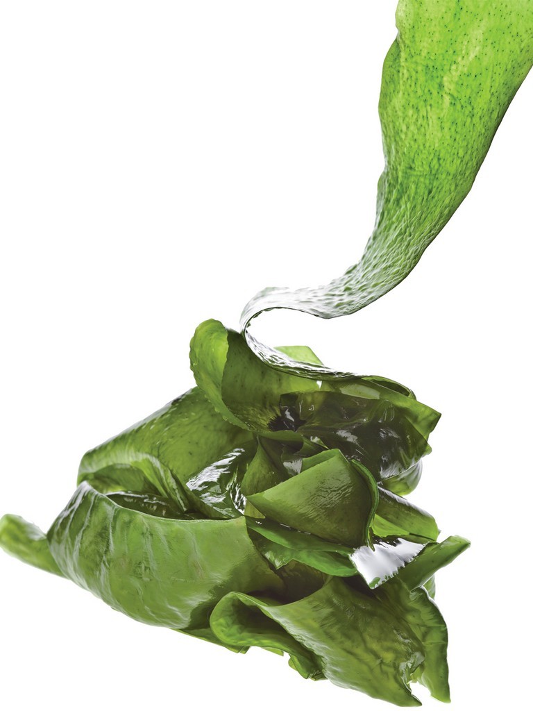 Fucus Film™ (fucus vesiculosus extract)