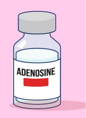 Pure-Adenosine™