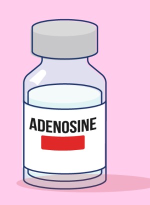 Pure-Adenosine™