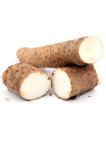  Wild Yam Extract (Diosgenin 95%)