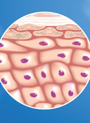 Phytosphingosine (90% Purity)