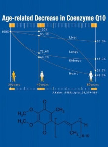  Coenzyme Q10 (98%, Powder, Oil-Soluble)