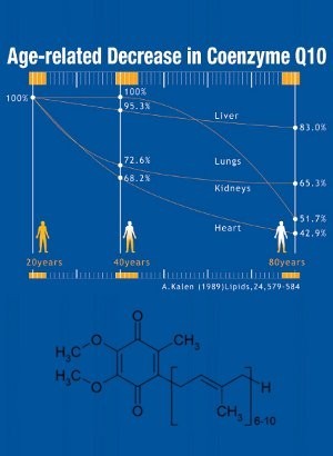 Coenzyme Q10 (98%, Powder, Oil-Soluble)