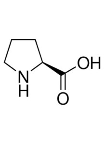  L-Proline