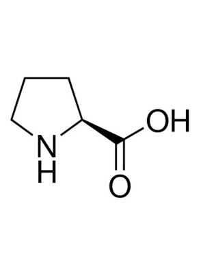L-Proline