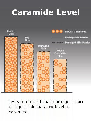 Ceramide Complex (CeraTouch™, Cream)