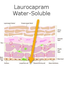 Laurocapram (Water Soluble)