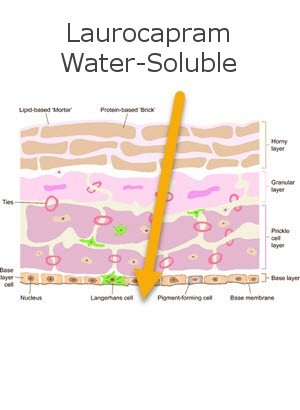 Laurocapram (Water Soluble)