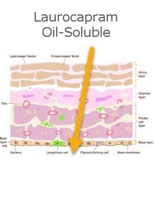 Laurocapram (Oil Soluble)