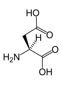 L-Aspartic Acid