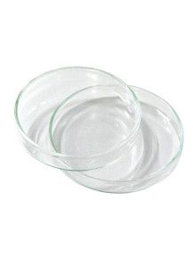  Petri Dish จานเพาะเชื้อ (แก้ว, มีฝา) 120mm