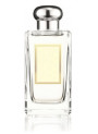 Wood Sage & Sea Salt (compare to Jo Malone) (Economy)
