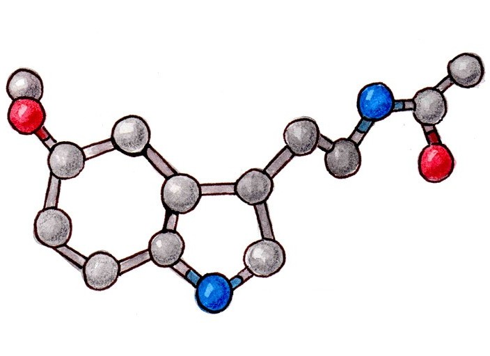 Pure-Melatonin™ (Odorless, White Powder)