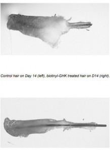 Biotinyl-GHK