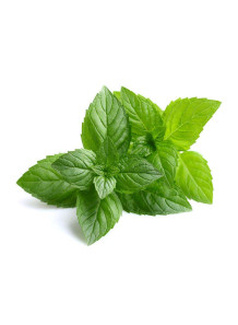 Peppermint Water