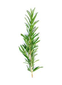 Rosemary Water