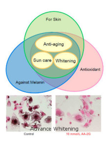  Ascorbyl Glucoside (AA-2G Stabilized Vitamin C)