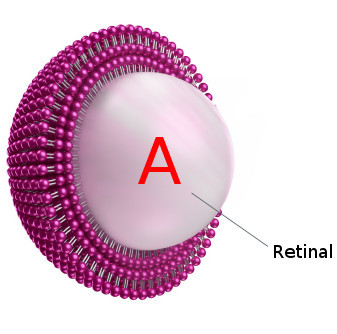 ActiveRelease Retinal™