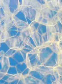 LipidSoft™ Solve