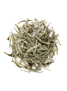 White Tea Absolute