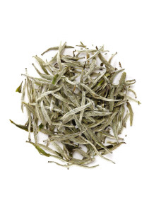  White Tea Extract สารสกัดชาขาว