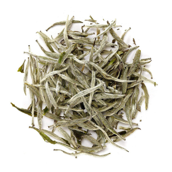 White Tea Extract สารสกัดชาขาว﻿