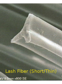 Lash Fiber (Short/Thin) ไฟเบอร์ ขนตา (สั้น/บาง)