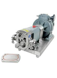 Lobe Pump 1HP viscous pump,...