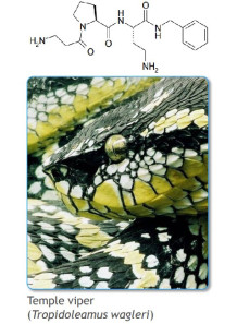 (Syn-Ake eq.) Dipeptide...