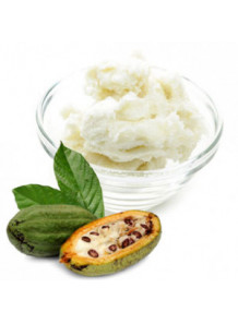 Cocoa Butter (Deodorized - ลดกลิ่น)