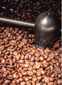 Coffee Roaster (Fragrance Oil)