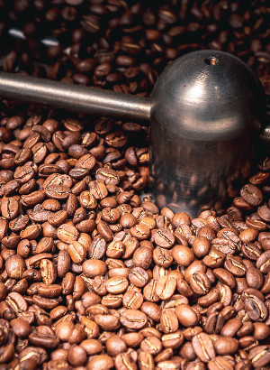 Coffee Roaster (Fragrance Oil)