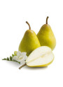 English Pear & Freesia (Benchmark - Jo Malone)