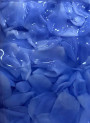  White/Blue Petals Beads 9-15mm