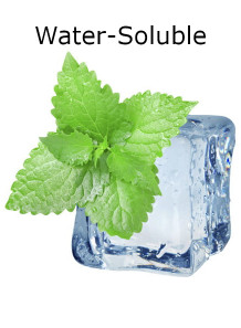  Menthol Water Soluble (20% Menthol, Liquid)