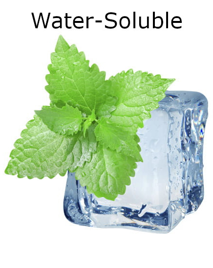 Menthol Water Soluble (20% Menthol, Liquid)