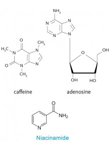 Energy-Blend™ (Caffeine+Adenosine+Vitamin B3)