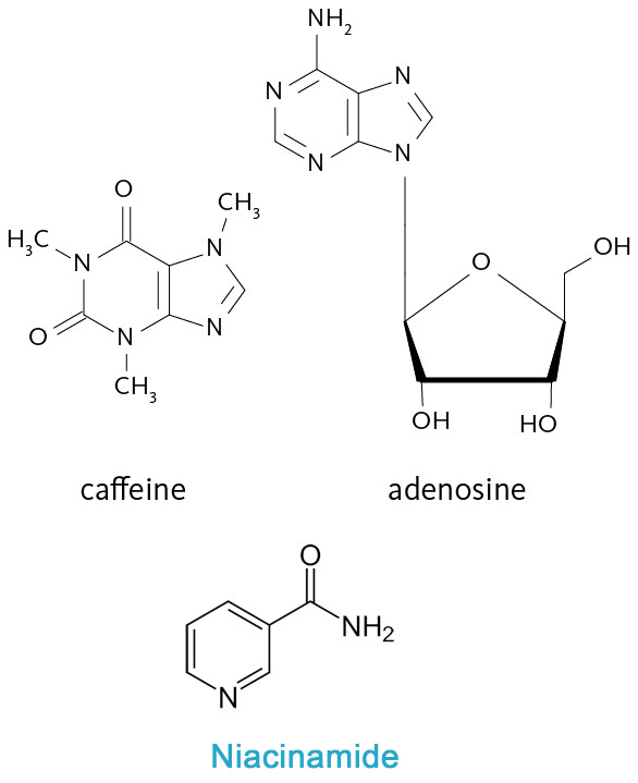 Energy-Blend™ (Caffeine+Adenosine+Vitamin B3)