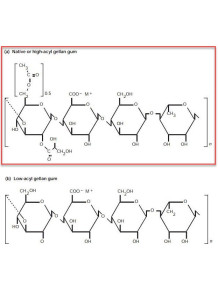 Gellan Gum (High Acyl)