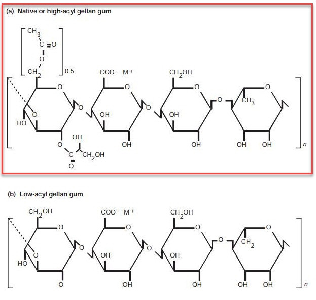 Gellan Gum (High Acyl)
