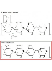 Hydroxyethyl Cellulose (HEC)