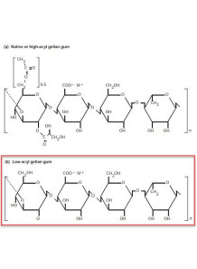 Gellan Gum (Low Acyl)