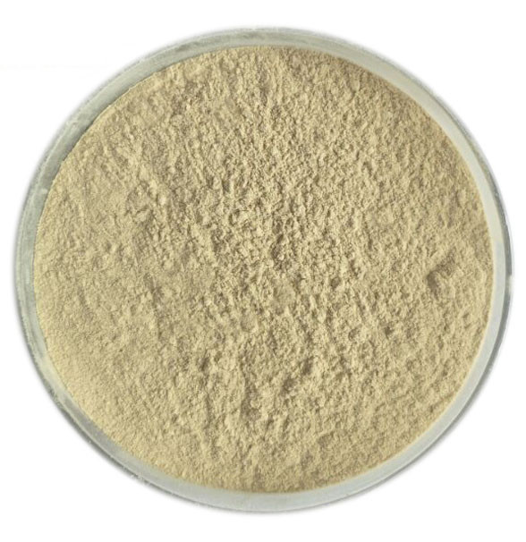 Foaming Tea (Natural Surfactant)