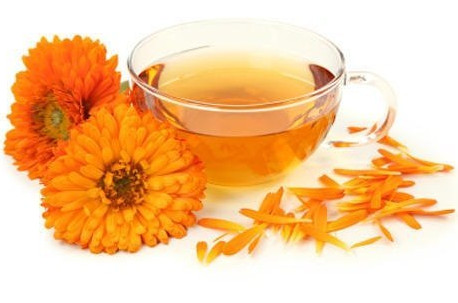 Calendula Oil (Infused)